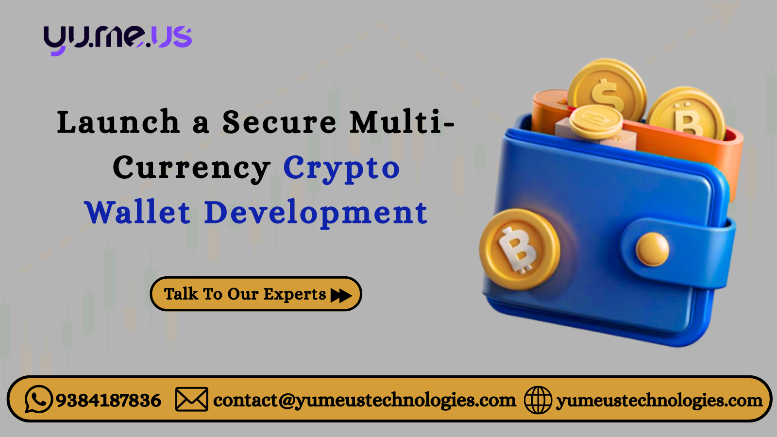 Crypto Wallet Development—Launch Multi-Currency Wallet App